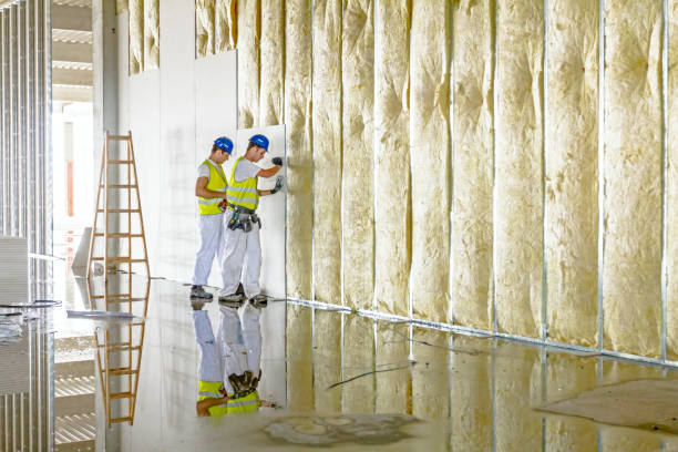 Best Geographic-Specific Insulation Services in Kaysville, UT